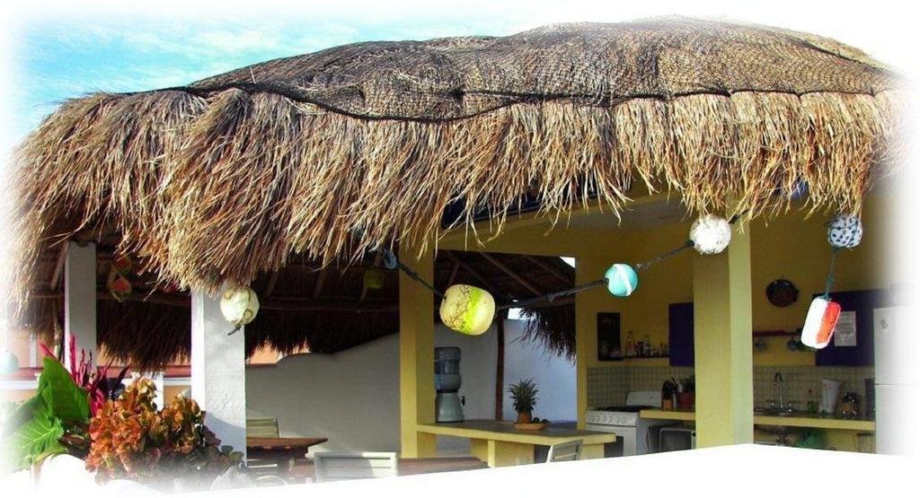 קוזומל Coral Reef Inn מראה חיצוני תמונה