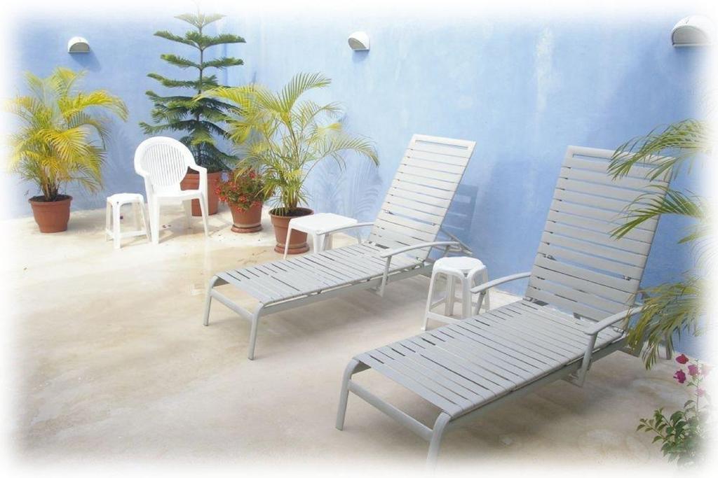 קוזומל Coral Reef Inn מראה חיצוני תמונה