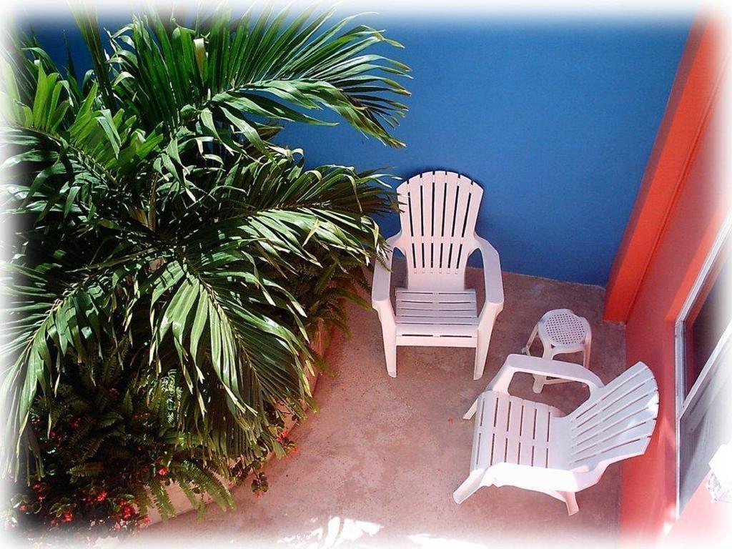 קוזומל Coral Reef Inn מראה חיצוני תמונה